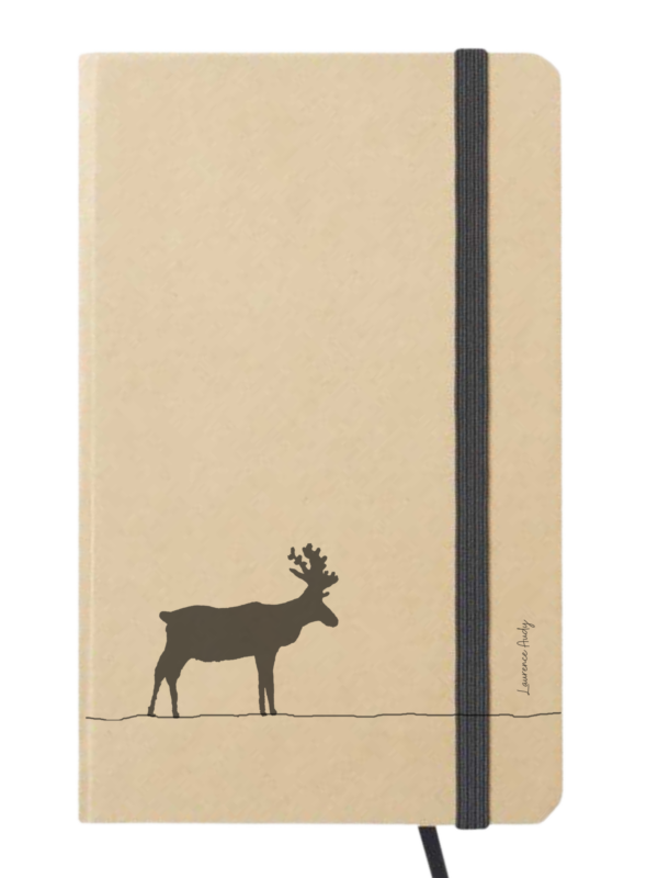 Carnet_cartonne_laurence_audy_caribou_01