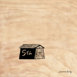 N&B-CABANE SEL-01-BOIS 20X20