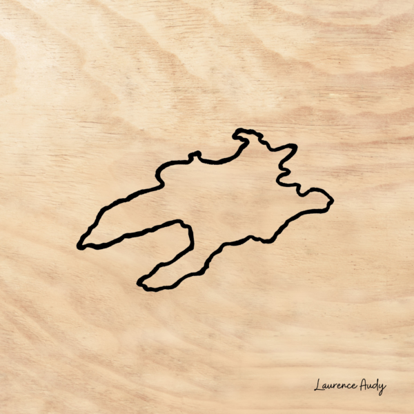 N&B-ILE-OUESSANT-04-BOIS 20X20