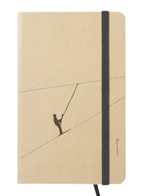 Carnet_cartonne_laurence_audy_montagne_11