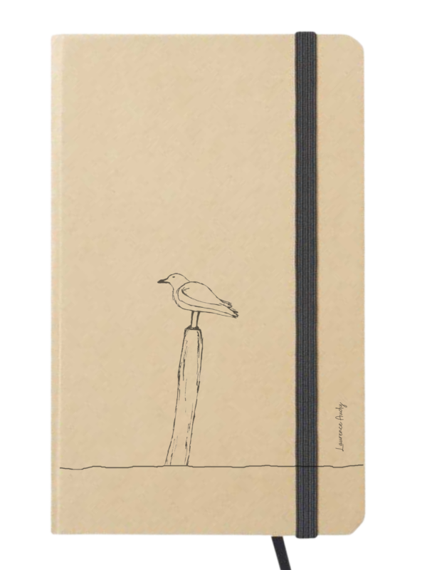 Carnet_cartonne_laurence_audy_oiseau_01