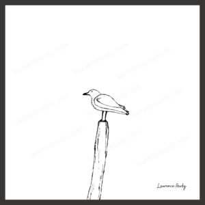 N&B-OISEAU-01 CARRE FILIGRANE CADRE NOIR