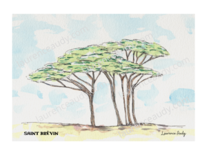 44-ST BREVIN-PIN PARASOL-AQUARELLE FILIGRANE