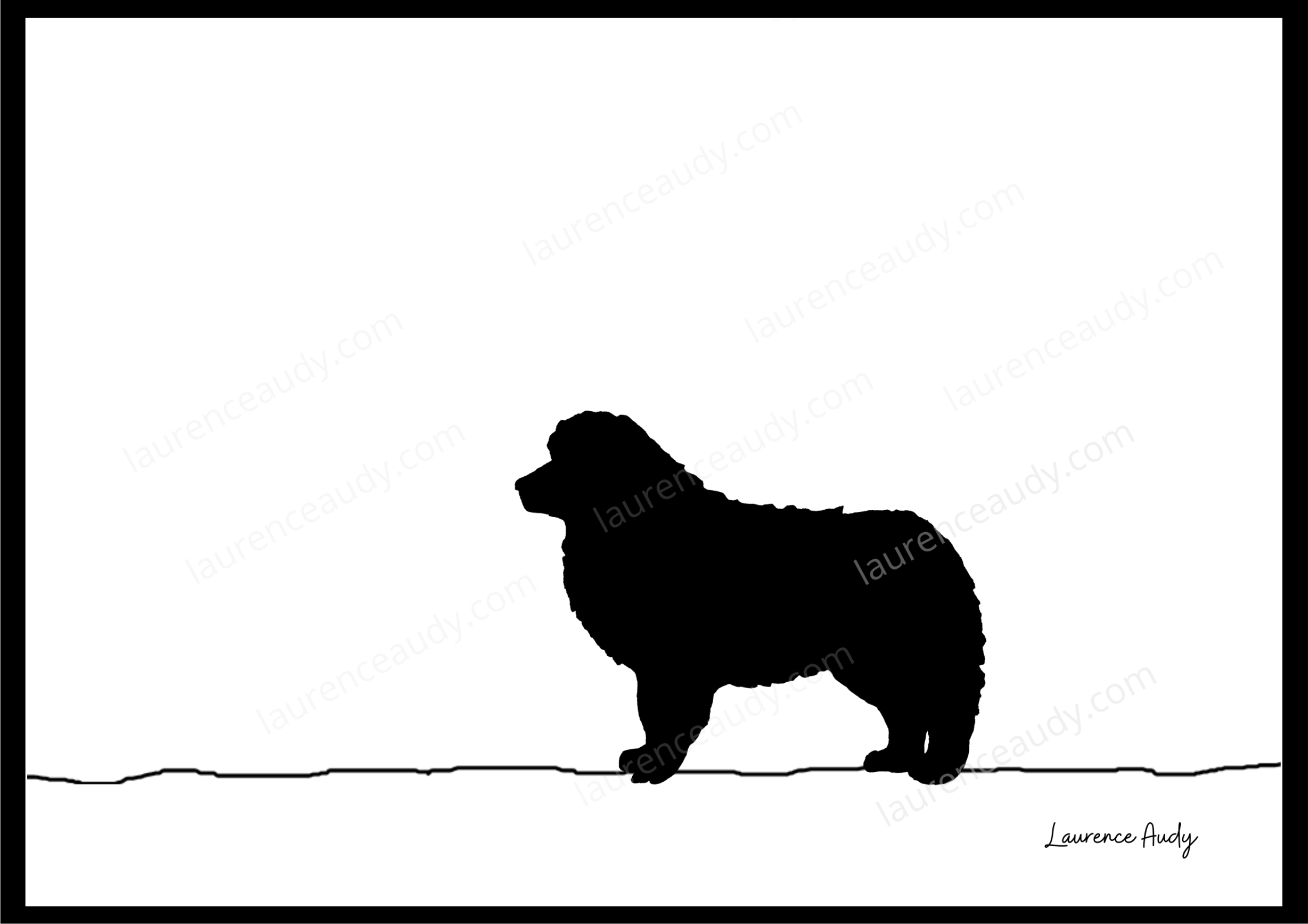 N&B-CHIEN-AMERICAN-SHEPHERD-01 filigrane CADRE NOIR