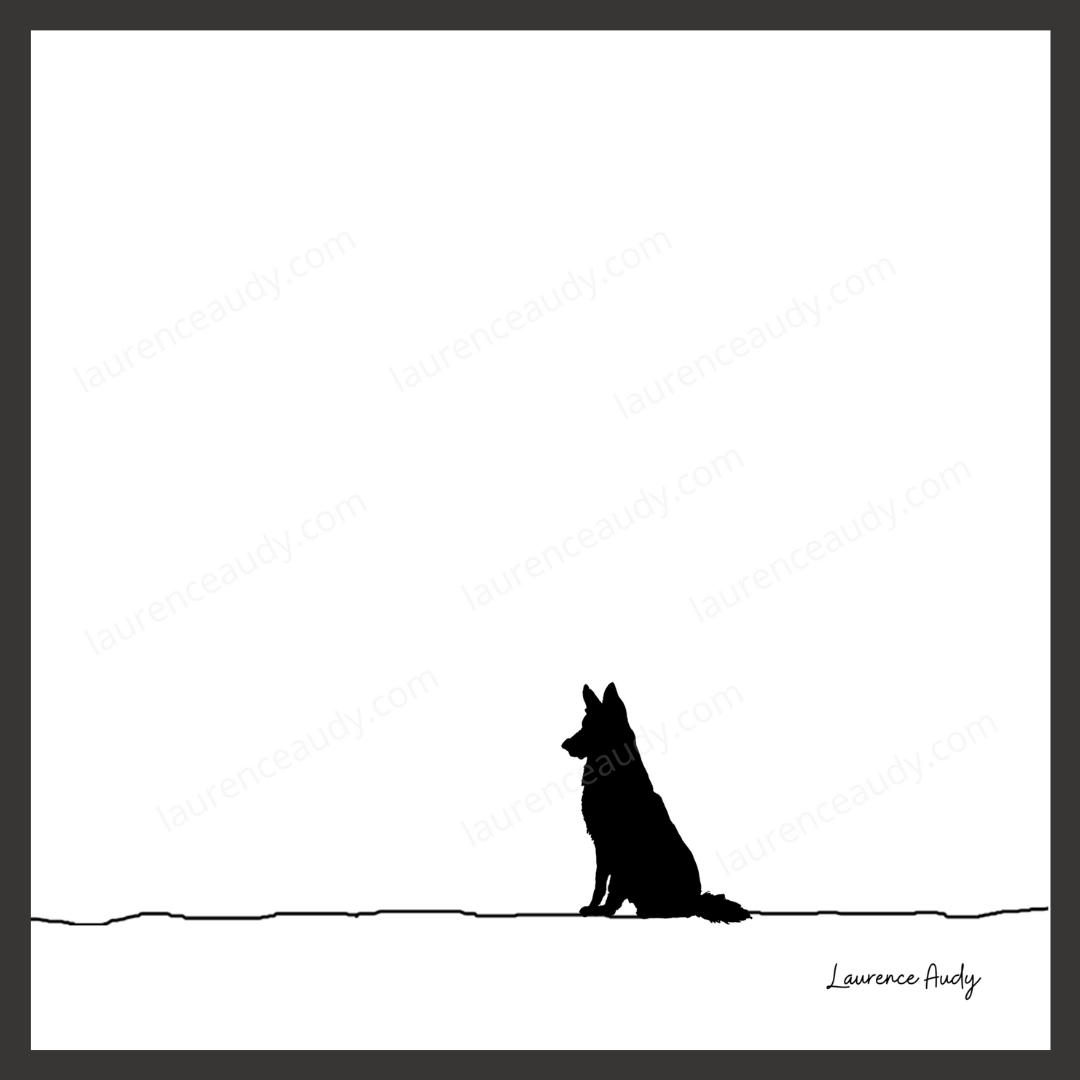 N&B-CHIEN-BERGER-ALLEMAND-01 CARRE filigrane cadre noir N&B-CHIEN-BERGER-ALLEMAND-01 CARRE filigrane cadre noir