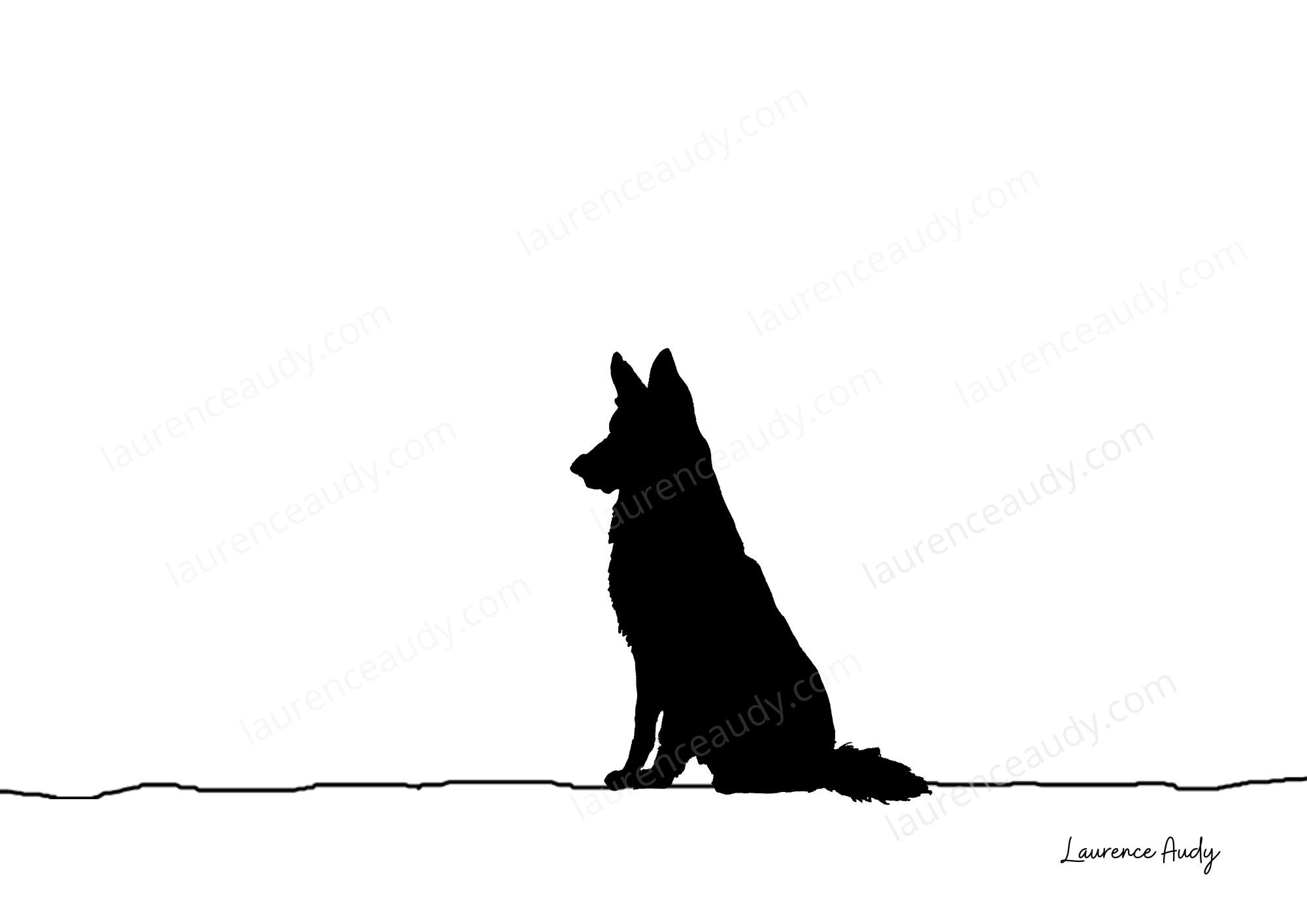 N&B-CHIEN-BERGER-ALLEMAND-01 filigrane