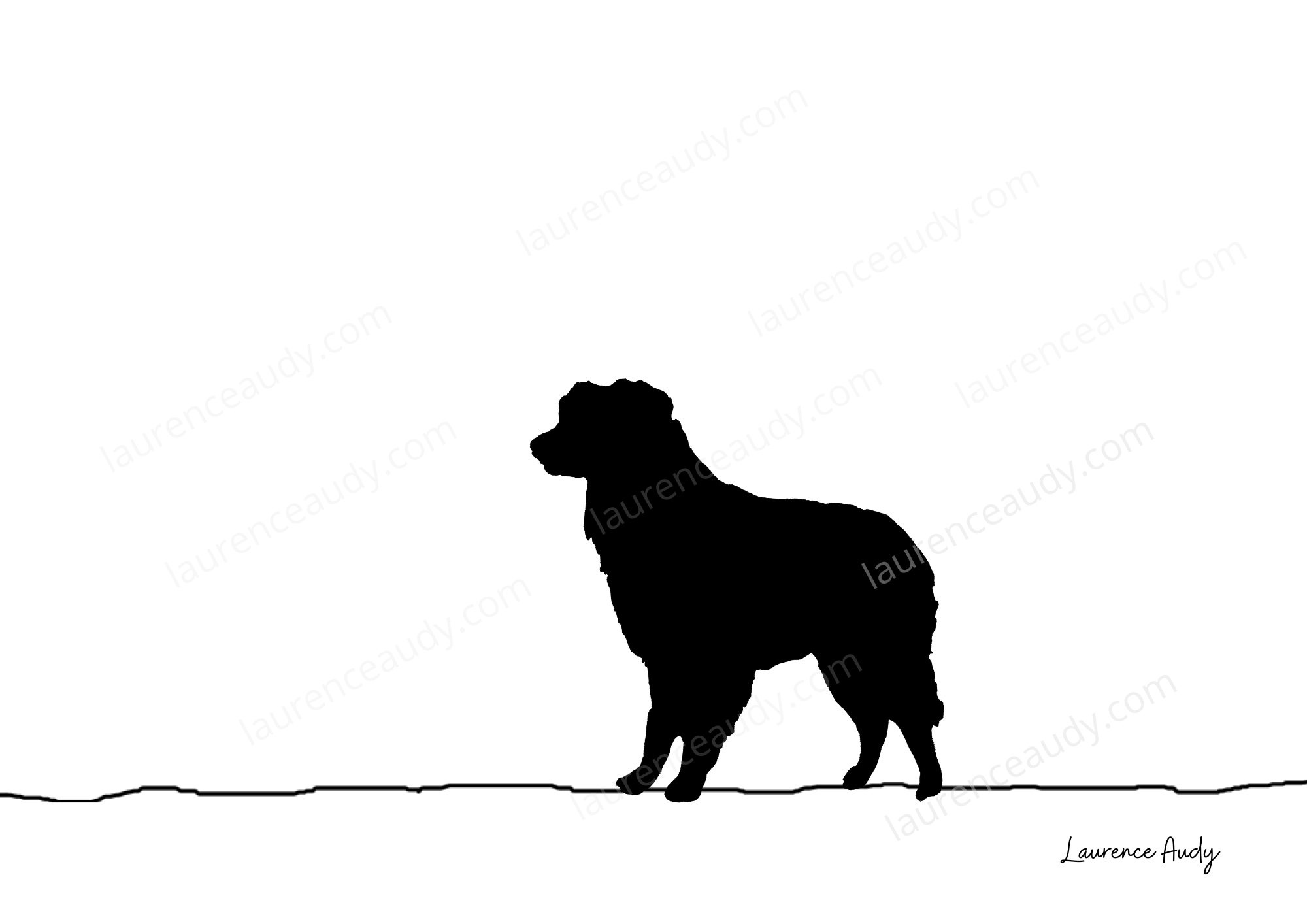 N&B-CHIEN-BERGER-AUSTRALIEN-01 filigrane