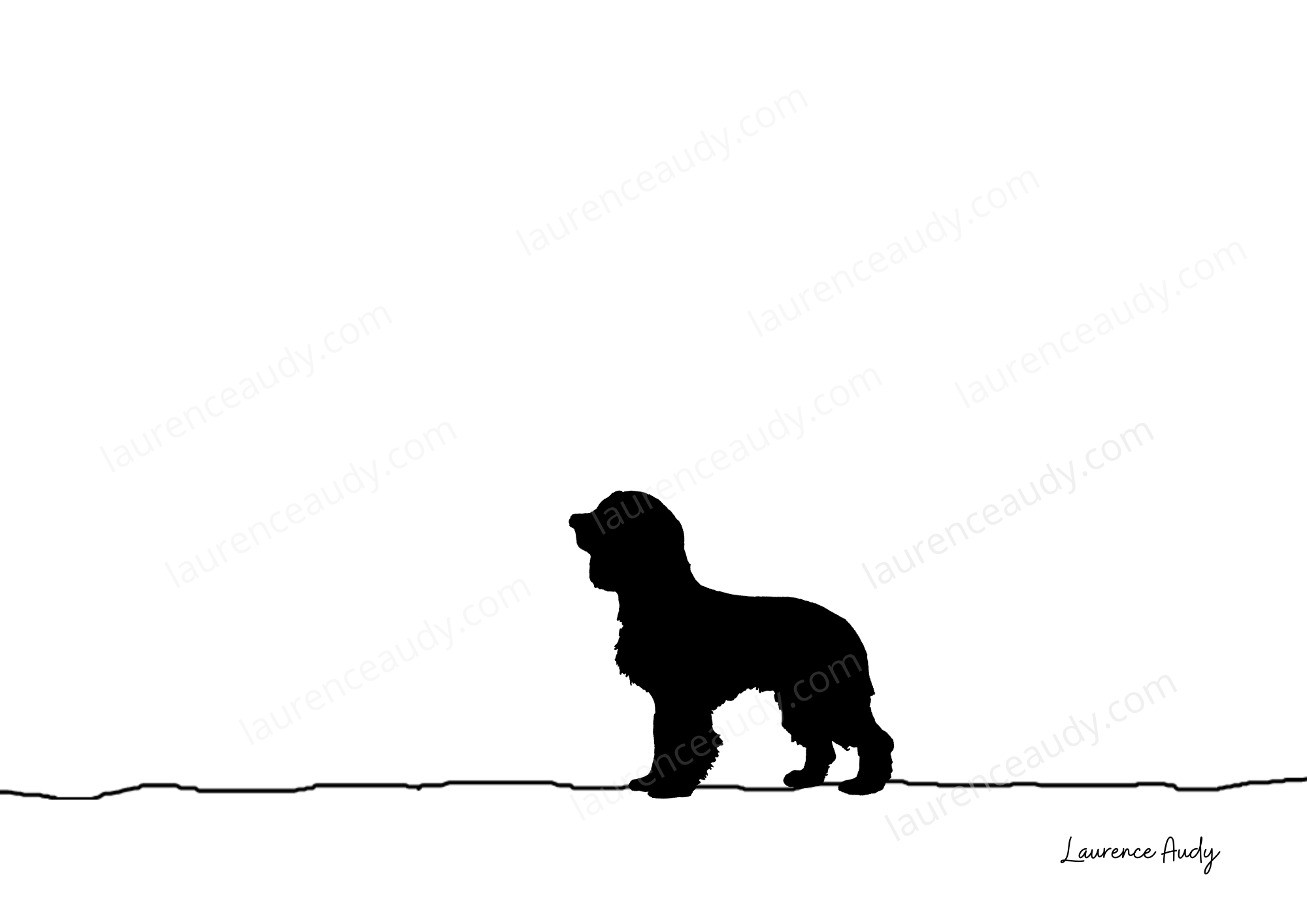 N&B-CHIEN-CAVALIER-KING-01 filigrane