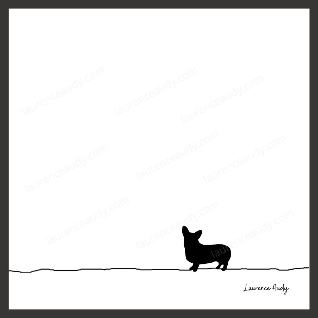 N&B-CHIEN-CORGI-01 CARRE filigrane cadre noir N&B-CHIEN-CORGI-01 CARRE filigrane cadre noir