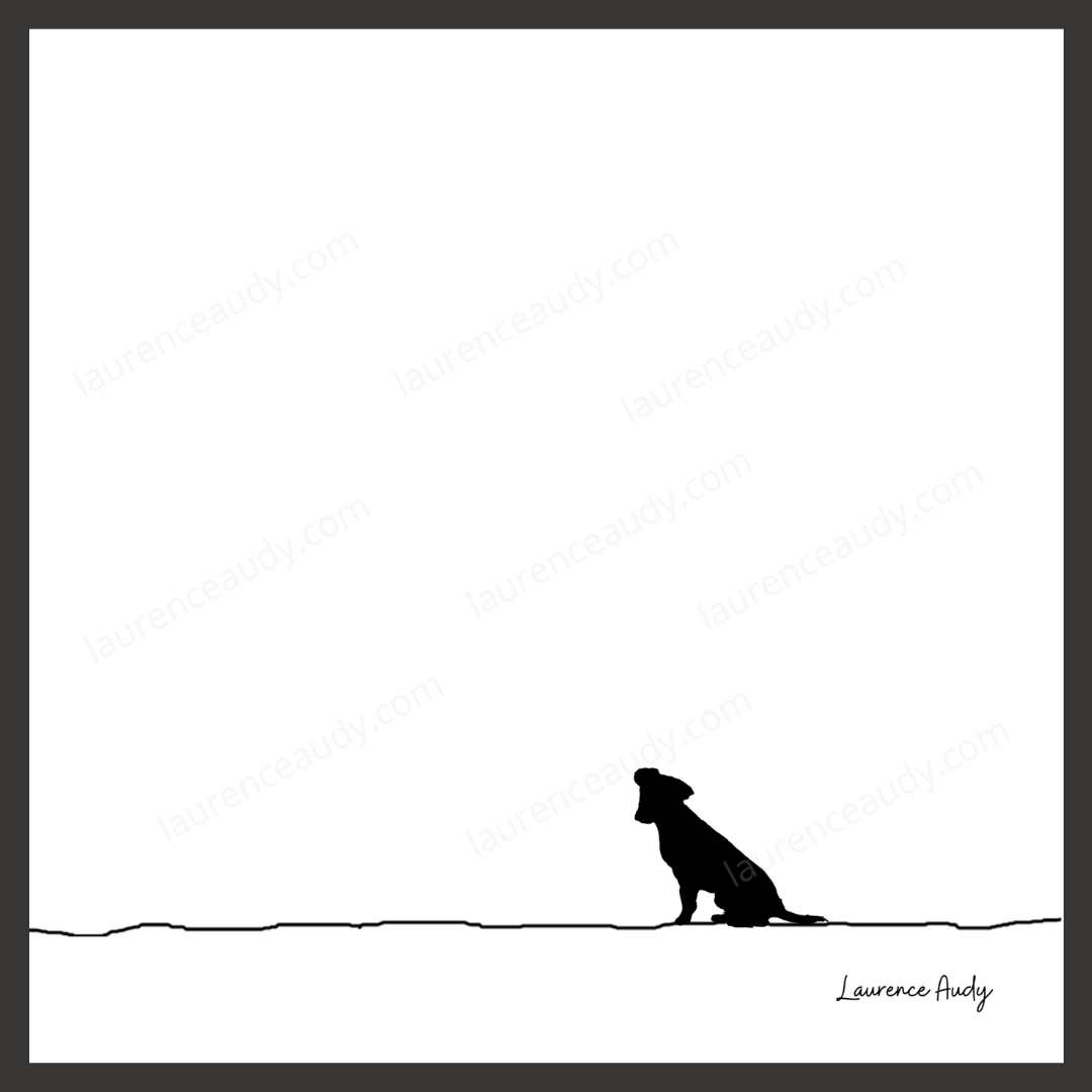 N&B-CHIEN-JACK-RUSSEL-01 CARRE filigrane cadre noir N&B-CHIEN-JACK-RUSSEL-01 CARRE filigrane cadre noir