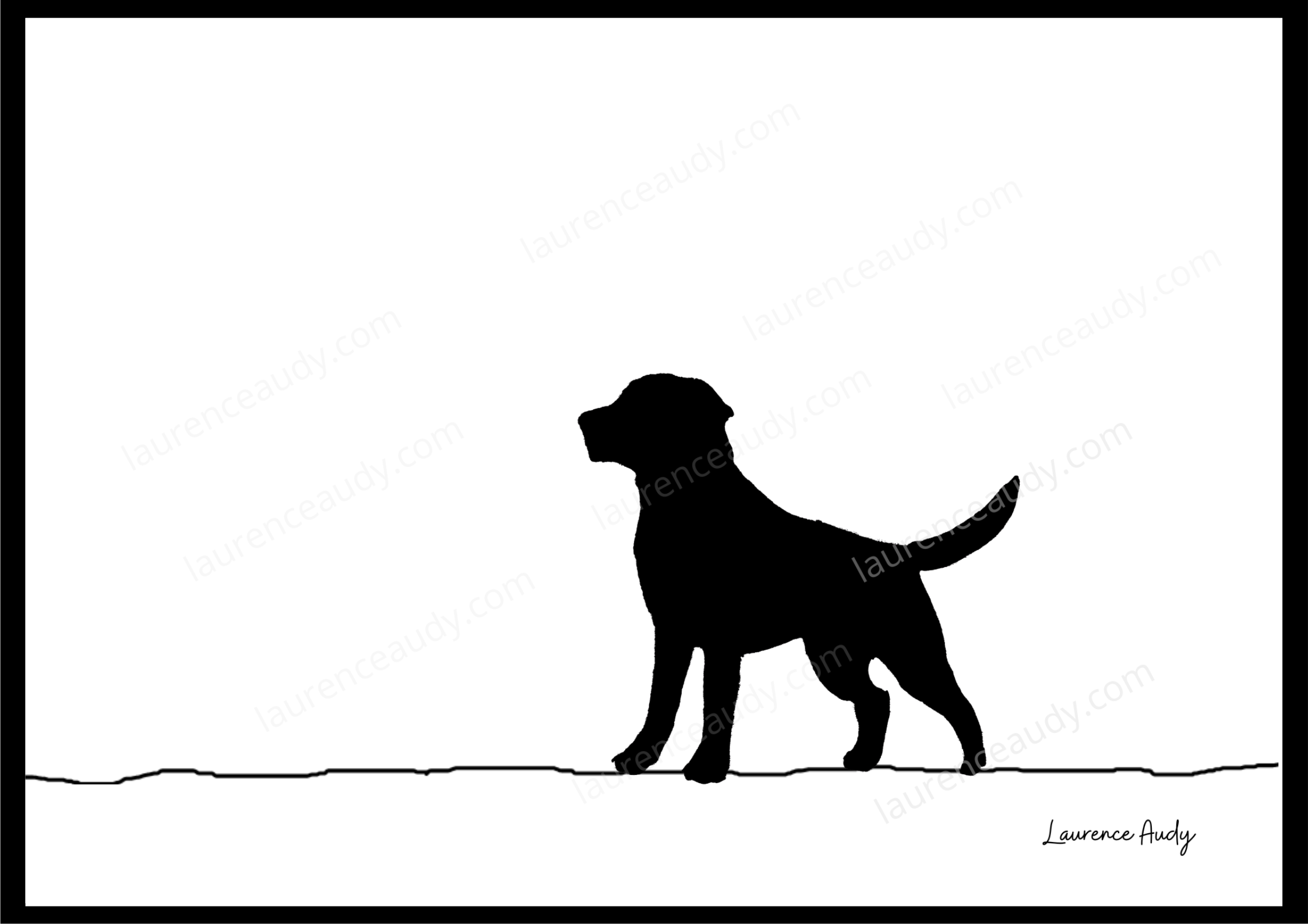 N&B-CHIEN-LABRADOR-01 filigrane CADRE NOIR