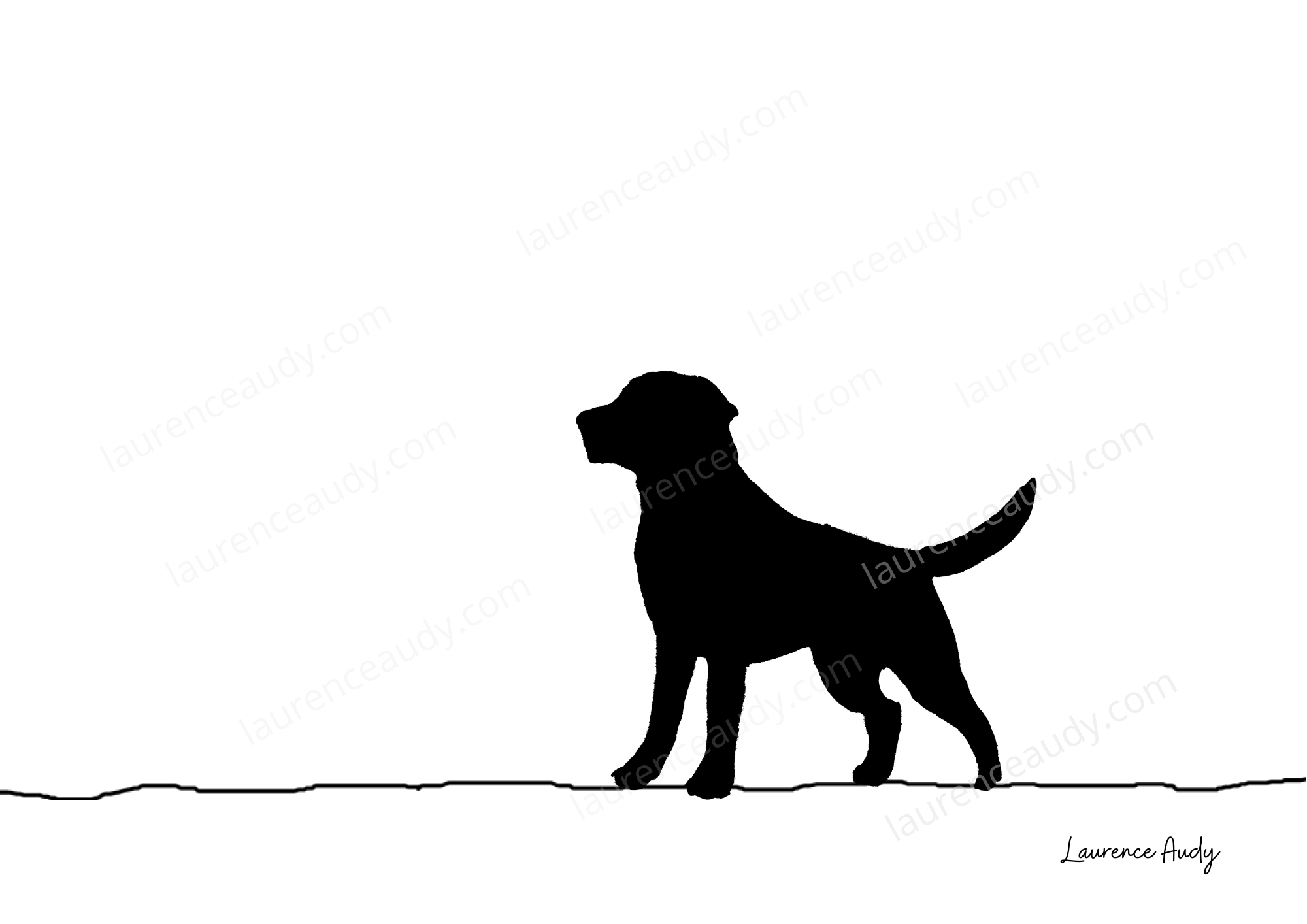 N&B-CHIEN-LABRADOR-01 filigrane