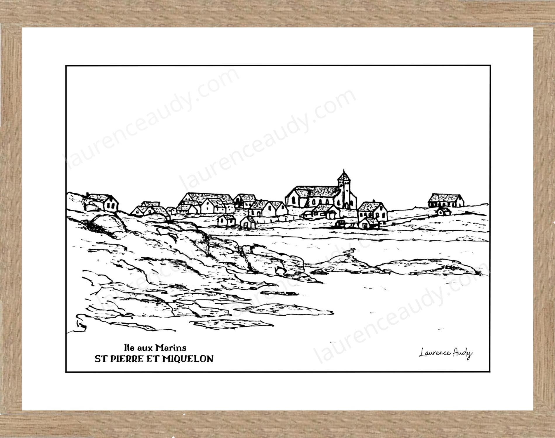 975-ST PIERRE ET MIQUELON-ILE AUX MARINS-N&B 30X40 FILIGRANE CADRE CHENE