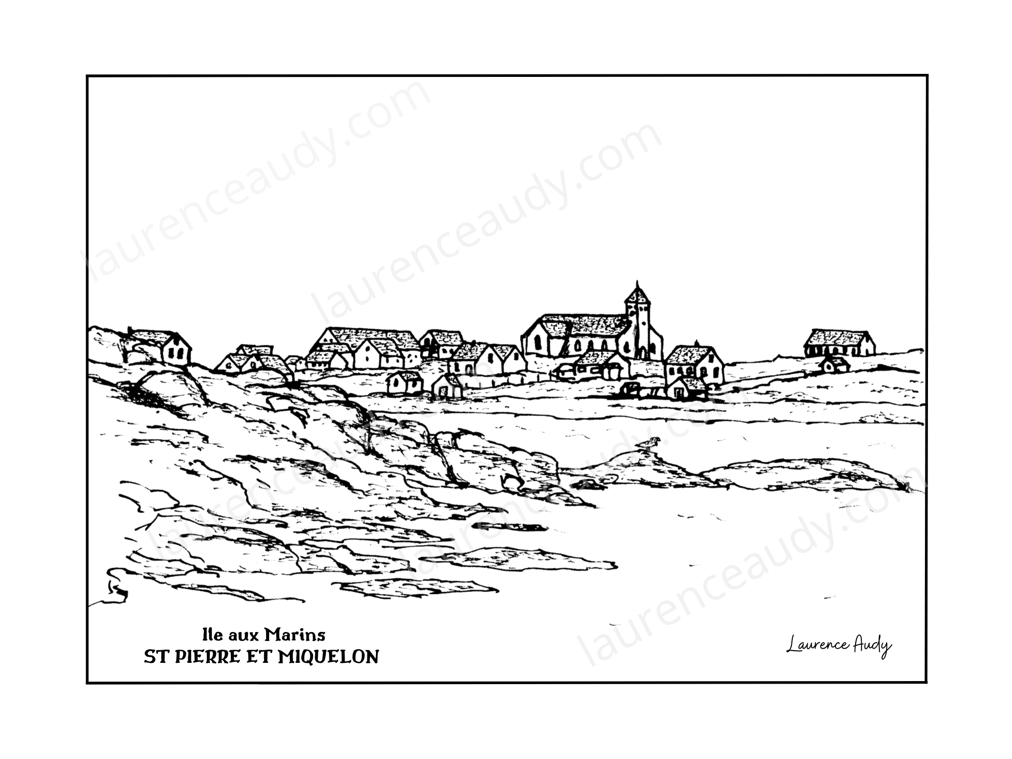975-ST PIERRE ET MIQUELON-ILE AUX MARINS-N&B 30X40 FILIGRANE